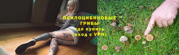 круглые Ельня